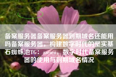 备案服务器备案服务器到期域名还能用吗备案服务器，构建数字时代的坚实基石蜘蛛池TG：zzcseo，数字时代备案服务器的使用与到期域名情况