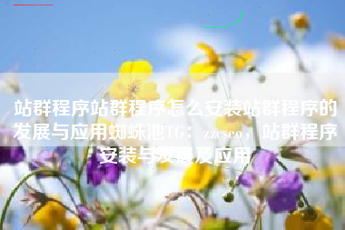 站群程序站群程序怎么安装站群程序的发展与应用蜘蛛池TG：zzcseo，站群程序安装与发展及应用