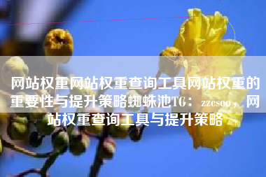 网站权重网站权重查询工具网站权重的重要性与提升策略蜘蛛池TG：zzcseo，网站权重查询工具与提升策略