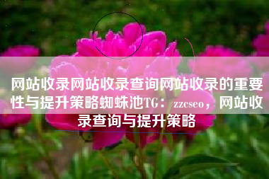 网站收录网站收录查询网站收录的重要性与提升策略蜘蛛池TG：zzcseo，网站收录查询与提升策略