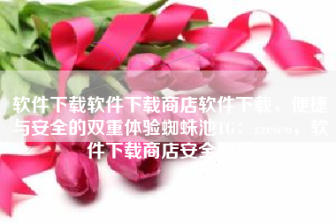 软件下载软件下载商店软件下载，便捷与安全的双重体验蜘蛛池TG：zzcseo，软件下载商店安全便捷