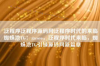 泛程序泛程序源码网泛程序时代的来临蜘蛛池TG：zzcseo，泛程序时代来临，蜘蛛池TG引领源码网新篇章