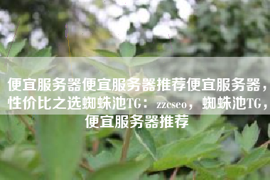 便宜服务器便宜服务器推荐便宜服务器，性价比之选蜘蛛池TG：zzcseo，蜘蛛池TG，便宜服务器推荐