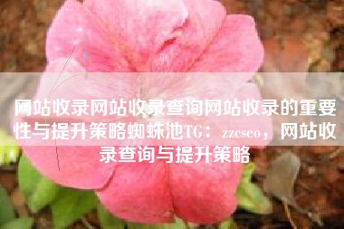 网站收录网站收录查询网站收录的重要性与提升策略蜘蛛池TG：zzcseo，网站收录查询与提升策略