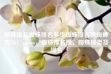 蜘蛛排名蜘蛛排名多少蜘蛛排名榜蜘蛛池TG：zzcseo，蜘蛛排名榜，蜘蛛种类及排名