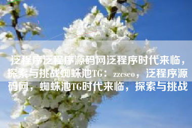 泛程序泛程序源码网泛程序时代来临，探索与挑战蜘蛛池TG：zzcseo，泛程序源码网，蜘蛛池TG时代来临，探索与挑战