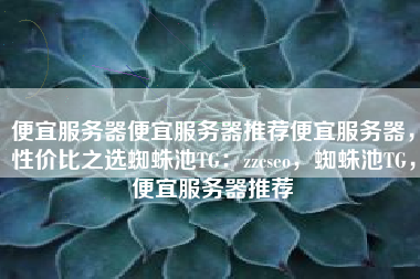 便宜服务器便宜服务器推荐便宜服务器，性价比之选蜘蛛池TG：zzcseo，蜘蛛池TG，便宜服务器推荐