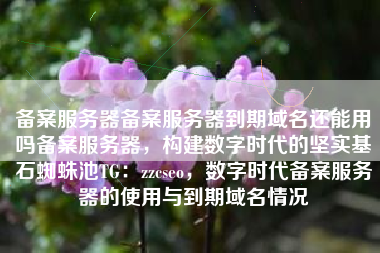 备案服务器备案服务器到期域名还能用吗备案服务器，构建数字时代的坚实基石蜘蛛池TG：zzcseo，数字时代备案服务器的使用与到期域名情况