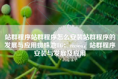 站群程序站群程序怎么安装站群程序的发展与应用蜘蛛池TG：zzcseo，站群程序安装与发展及应用