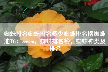蜘蛛排名蜘蛛排名多少蜘蛛排名榜蜘蛛池TG：zzcseo，蜘蛛排名榜，蜘蛛种类及排名