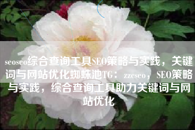 seoseo综合查询工具SEO策略与实践，关键词与网站优化蜘蛛池TG：zzcseo，SEO策略与实践，综合查询工具助力关键词与网站优化