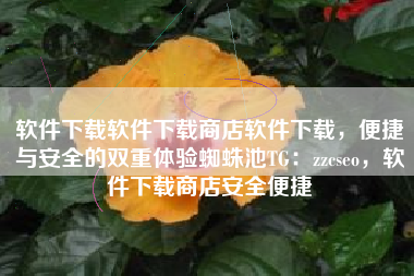 软件下载软件下载商店软件下载，便捷与安全的双重体验蜘蛛池TG：zzcseo，软件下载商店安全便捷