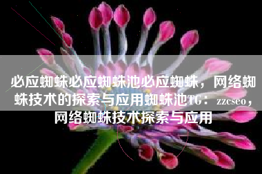 必应蜘蛛必应蜘蛛池必应蜘蛛，网络蜘蛛技术的探索与应用蜘蛛池TG：zzcseo，网络蜘蛛技术探索与应用