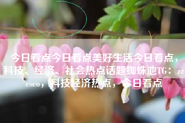 今日看点今日看点美好生活今日看点，科技、经济、社会热点话题蜘蛛池TG：zzcseo，科技经济热点，今日看点