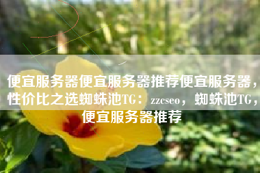 便宜服务器便宜服务器推荐便宜服务器，性价比之选蜘蛛池TG：zzcseo，蜘蛛池TG，便宜服务器推荐