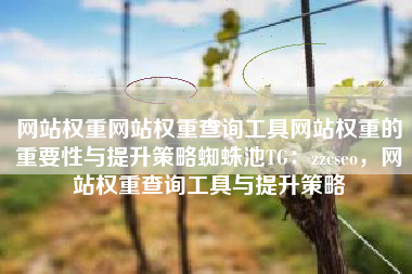 网站权重网站权重查询工具网站权重的重要性与提升策略蜘蛛池TG：zzcseo，网站权重查询工具与提升策略