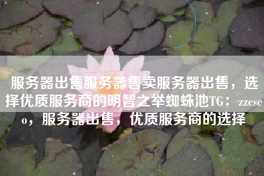 服务器出售服务器售卖服务器出售，选择优质服务商的明智之举蜘蛛池TG：zzcseo，服务器出售，优质服务商的选择