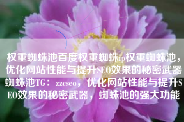 权重蜘蛛池百度权重蜘蛛ip权重蜘蛛池，优化网站性能与提升SEO效果的秘密武器蜘蛛池TG：zzcseo，优化网站性能与提升SEO效果的秘密武器，蜘蛛池的强大功能