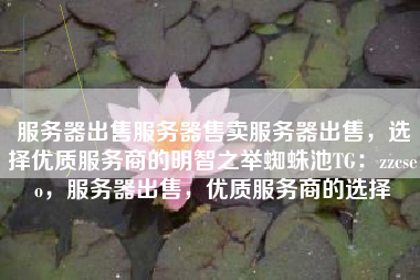 服务器出售服务器售卖服务器出售，选择优质服务商的明智之举蜘蛛池TG：zzcseo，服务器出售，优质服务商的选择