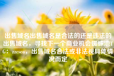 出售域名出售域名是合法的还是违法的出售域名，寻找下一个商业机会蜘蛛池TG：zzcseo，出售域名合法或非法视具体情况而定