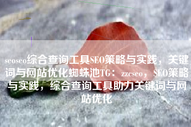 seoseo综合查询工具SEO策略与实践，关键词与网站优化蜘蛛池TG：zzcseo，SEO策略与实践，综合查询工具助力关键词与网站优化