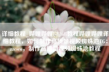 详细教程_哔哩哔哩bilibili教程哔哩哔哩详细教程，如何制作高质量视频蜘蛛池TG：zzcseo，制作高质量视频蜘蛛池教程