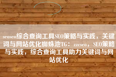 seoseo综合查询工具SEO策略与实践，关键词与网站优化蜘蛛池TG：zzcseo，SEO策略与实践，综合查询工具助力关键词与网站优化