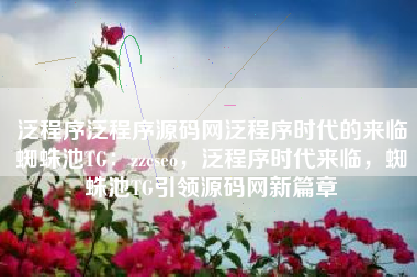 泛程序泛程序源码网泛程序时代的来临蜘蛛池TG：zzcseo，泛程序时代来临，蜘蛛池TG引领源码网新篇章