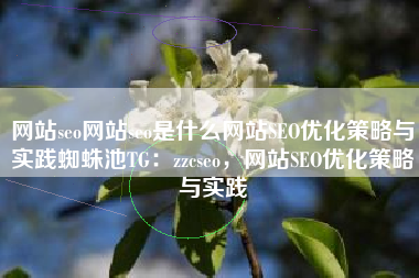 网站seo网站seo是什么网站SEO优化策略与实践蜘蛛池TG：zzcseo，网站SEO优化策略与实践
