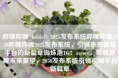 哔哩哔哩_bilibili_2025发布系统哔哩哔哩2050哔哩哔哩2025发布系统，引领未来视频平台的新篇章蜘蛛池TG：zzcseo，哔哩哔哩未来展望，2050发布系统引领视频平台新篇章