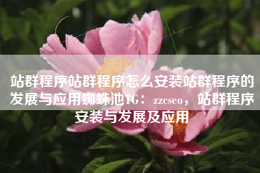 站群程序站群程序怎么安装站群程序的发展与应用蜘蛛池TG：zzcseo，站群程序安装与发展及应用