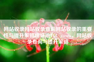 网站收录网站收录查询网站收录的重要性与提升策略蜘蛛池TG：zzcseo，网站收录查询与提升策略
