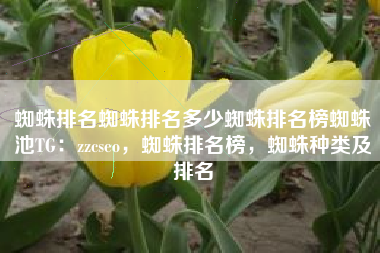 蜘蛛排名蜘蛛排名多少蜘蛛排名榜蜘蛛池TG：zzcseo，蜘蛛排名榜，蜘蛛种类及排名