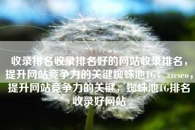 收录排名收录排名好的网站收录排名，提升网站竞争力的关键蜘蛛池TG：zzcseo，提升网站竞争力的关键，蜘蛛池TG排名收录好网站