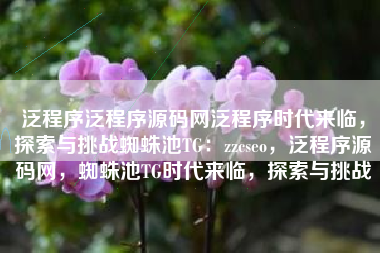 泛程序泛程序源码网泛程序时代来临，探索与挑战蜘蛛池TG：zzcseo，泛程序源码网，蜘蛛池TG时代来临，探索与挑战