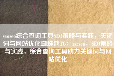 seoseo综合查询工具SEO策略与实践，关键词与网站优化蜘蛛池TG：zzcseo，SEO策略与实践，综合查询工具助力关键词与网站优化