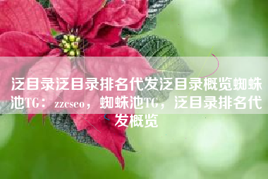 泛目录泛目录排名代发泛目录概览蜘蛛池TG：zzcseo，蜘蛛池TG，泛目录排名代发概览