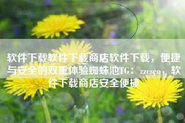 软件下载软件下载商店软件下载，便捷与安全的双重体验蜘蛛池TG：zzcseo，软件下载商店安全便捷