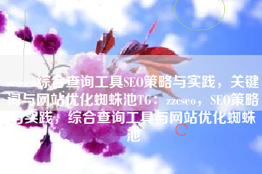 seoseo综合查询工具SEO策略与实践，关键词与网站优化蜘蛛池TG：zzcseo，SEO策略与实践，综合查询工具与网站优化蜘蛛池