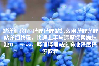 站详细教程_哔哩哔哩站怎么用哔哩哔哩站详细教程，快速上手与深度探索蜘蛛池TG：zzcseo，哔哩哔哩站蜘蛛池深度探索教程