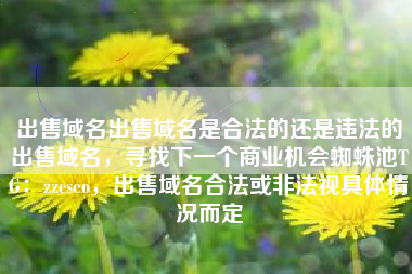 出售域名出售域名是合法的还是违法的出售域名，寻找下一个商业机会蜘蛛池TG：zzcseo，出售域名合法或非法视具体情况而定