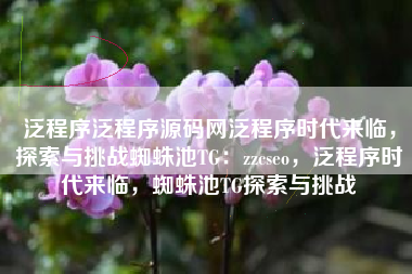 泛程序泛程序源码网泛程序时代来临，探索与挑战蜘蛛池TG：zzcseo，泛程序时代来临，蜘蛛池TG探索与挑战