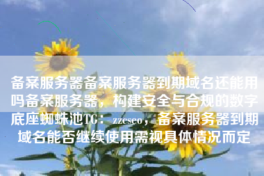 备案服务器备案服务器到期域名还能用吗备案服务器，构建安全与合规的数字底座蜘蛛池TG：zzcseo，备案服务器到期域名能否继续使用需视具体情况而定
