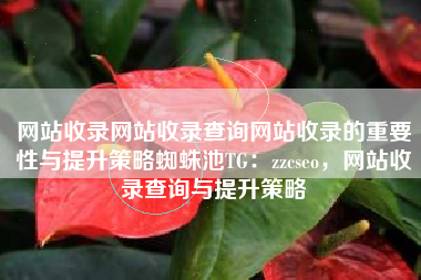 网站收录网站收录查询网站收录的重要性与提升策略蜘蛛池TG：zzcseo，网站收录查询与提升策略