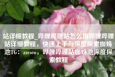 站详细教程_哔哩哔哩站怎么用哔哩哔哩站详细教程，快速上手与深度探索蜘蛛池TG：zzcseo，哔哩哔哩站蜘蛛池深度探索教程