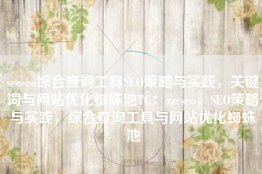 seoseo综合查询工具SEO策略与实践，关键词与网站优化蜘蛛池TG：zzcseo，SEO策略与实践，综合查询工具与网站优化蜘蛛池