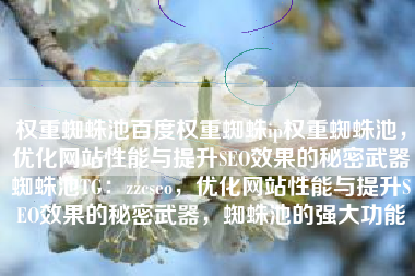 权重蜘蛛池百度权重蜘蛛ip权重蜘蛛池，优化网站性能与提升SEO效果的秘密武器蜘蛛池TG：zzcseo，优化网站性能与提升SEO效果的秘密武器，蜘蛛池的强大功能
