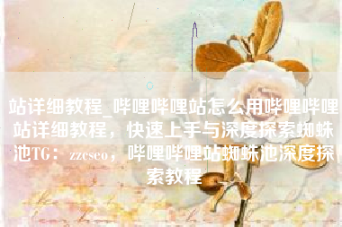 站详细教程_哔哩哔哩站怎么用哔哩哔哩站详细教程，快速上手与深度探索蜘蛛池TG：zzcseo，哔哩哔哩站蜘蛛池深度探索教程