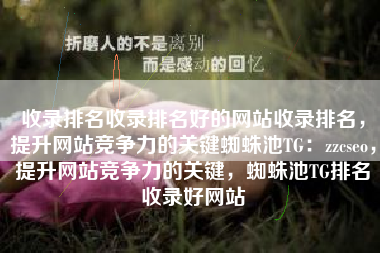 收录排名收录排名好的网站收录排名，提升网站竞争力的关键蜘蛛池TG：zzcseo，提升网站竞争力的关键，蜘蛛池TG排名收录好网站