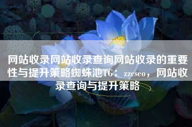 网站收录网站收录查询网站收录的重要性与提升策略蜘蛛池TG：zzcseo，网站收录查询与提升策略